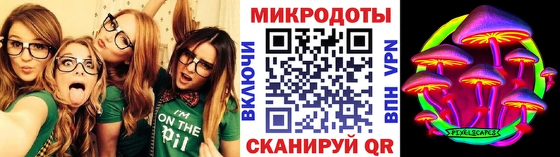 цена Ильский Галлюциногенные грибы Psilocybine cubensis